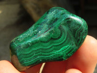 Polished  Small Malachite Free Forms x 20 From Congo