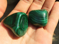 Polished  Small Malachite Free Forms x 20 From Congo