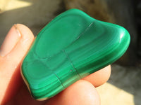 Polished  Small Malachite Free Forms x 20 From Congo