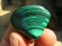 Polished  Small Malachite Free Forms x 20 From Congo