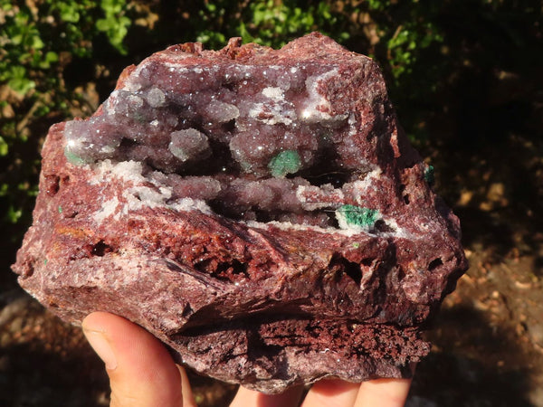 Natural Drusy Coated Malachite On Red Copper Dolomite Specimen x 1 From Likasi, Congo - Toprock Gemstones and Minerals 