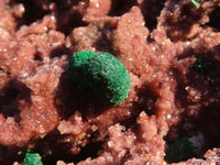 Natural Drusy Coated Malachite On Red Copper Dolomite Specimen x 1 From Likasi, Congo - Toprock Gemstones and Minerals 