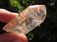 Natural Single Clear Quartz Crystals  x 35 From Zambia - TopRock