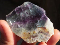 Polished One Side Polished Watermelon Fluorite Pieces  x 12 From Uis, Namibia