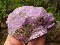 Natural Rough Stichtite & Serpentine Specimens  x 12 From Barberton, South Africa - Toprock Gemstones and Minerals 