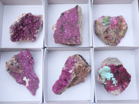 Natural Pink Salrose Cobaltion Dolomite Specimens  x 6 From Kakanda, Congo - Toprock Gemstones and Minerals 