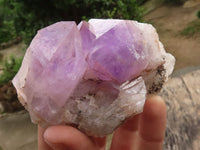 Natural Single Amethyst Quartz Crystals x 12 From Zambia - TopRock