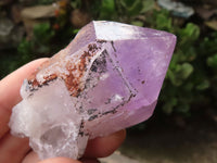 Natural Single Amethyst Quartz Crystals x 12 From Zambia - TopRock