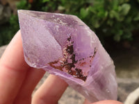 Natural Single Amethyst Quartz Crystals x 12 From Zambia - TopRock