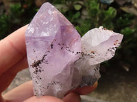 Natural Single Amethyst Quartz Crystals x 12 From Zambia - TopRock