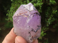 Natural Single Amethyst Quartz Crystals x 12 From Zambia - TopRock