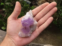 Natural Single Amethyst Quartz Crystals x 12 From Zambia - TopRock