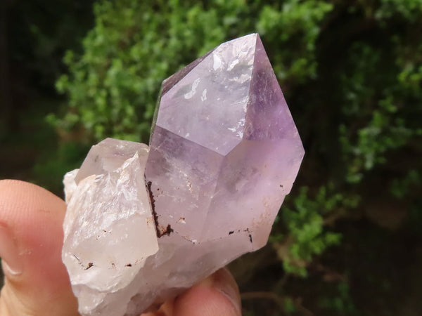 Natural Single Amethyst Quartz Crystals x 12 From Zambia - TopRock