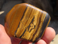 Polished Golden Tigers Eye Free Forms x 12 From Prieska, Northern Cape