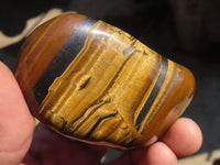 Polished Golden Tigers Eye Free Forms x 12 From Prieska, Northern Cape