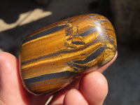 Polished Golden Tigers Eye Free Forms x 12 From Prieska, Northern Cape