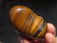 Polished Golden Tigers Eye Free Forms x 12 From Prieska, Northern Cape