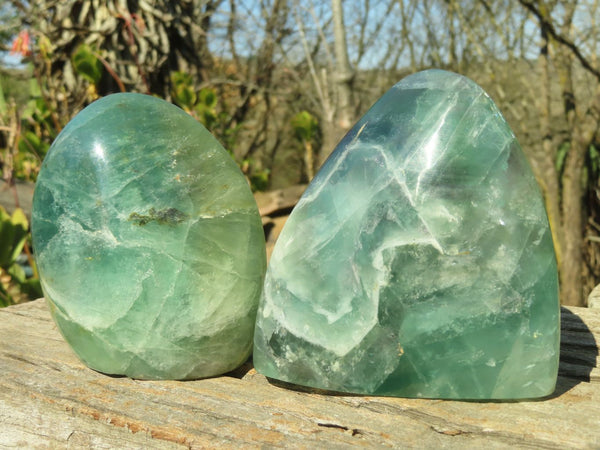 Polished Watermelon Fluorite Standing Free Forms  x 2 From Uis, Namibia