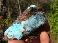 Natural Drusy Coated Chrysocolla & Malachite Dolomite Specimens x 3 From Likasi, Congo