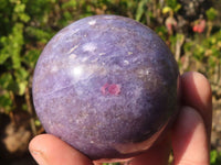 Polished  Lepidolite Spheres With Pink Tourmaline Inclusions  x 4 From Madagascar