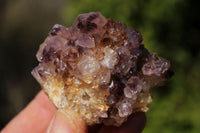 Natural Amethyst & Limonite Quartz Plates  x 11 From Kwaggafontein, South Africa - TopRock