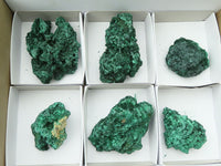 Natural Chatoyant Silky Malachite Specimens  x 6 From Congo - Toprock Gemstones and Minerals 