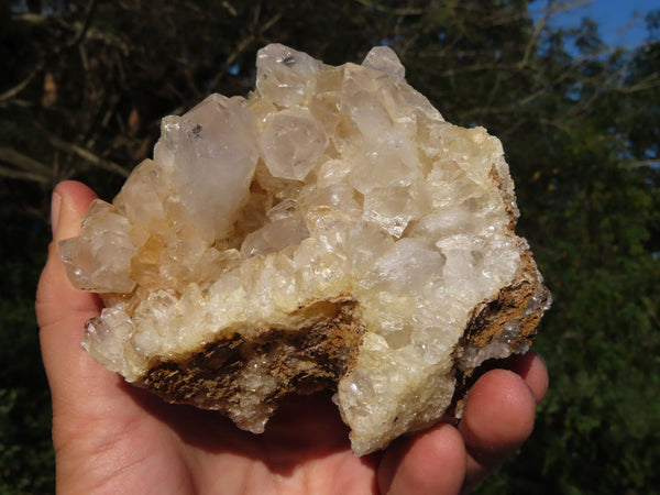 Natural Semi Optic Quartz Crystals On 