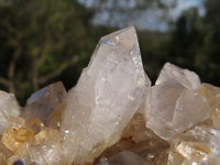 Natural Semi Optic Quartz Crystals On "Honeycomb" Matrix x 4 From Solwezi, Zambia - TopRock