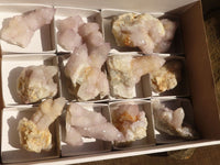 Natural Pale Lilac Spirit Quartz Crystals x 12 From Boekenhouthoek, South Africa