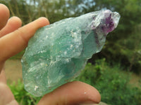 Natural Rough Watermelon Fluorite Cobbed Specimens x 24 From Uis, Namibia - TopRock