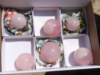 Polished Pink Rose Quartz Spheres  x 6 From Ambatondrazaka, Madagascar - TopRock