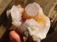 Natural Pale Lilac Spirit Quartz Crystals x 12 From Boekenhouthoek, South Africa