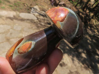 Polished Polychrome / Picasso Jasper Mushrooms  x 6 From Madagascar - TopRock