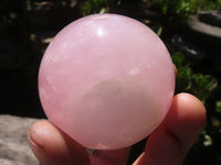 Polished Pink Rose Quartz Spheres  x 6 From Ambatondrazaka, Madagascar - TopRock