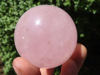 Polished Pink Rose Quartz Spheres  x 6 From Ambatondrazaka, Madagascar - TopRock