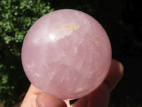 Polished Pink Rose Quartz Spheres  x 6 From Ambatondrazaka, Madagascar - TopRock