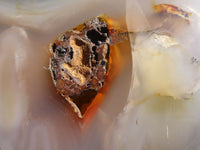 Polished Dendritic Agate Standing Free Form x 1 From Madagascar - Toprock Gemstones and Minerals 