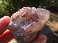 Natural Red Hematoid Quartz Crystals x 35 From Karoi, Zimbabwe