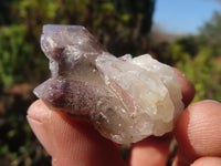 Natural Red Hematoid Quartz Crystals x 35 From Karoi, Zimbabwe