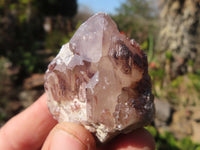 Natural Red Hematoid Quartz Crystals x 35 From Karoi, Zimbabwe