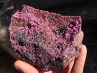 Natural Pink Salrose Cobaltion Dolomite Specimens  x 2 From Kakanda, Congo - Toprock Gemstones and Minerals 