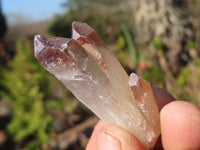 Natural Red Hematoid Quartz Crystals x 35 From Karoi, Zimbabwe