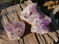 Natural Jacaranda Amethyst Clusters x 2 From Zambia