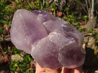 Natural Jacaranda Amethyst Clusters x 2 From Zambia