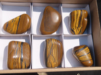 Polished Golden Tigers Eye Free Forms x 6 From Prieska, South Africa