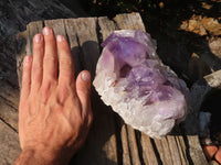 Natural Jacaranda Amethyst Clusters x 2 From Zambia