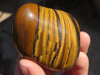 Polished Golden Tigers Eye Free Forms x 6 From Prieska, South Africa