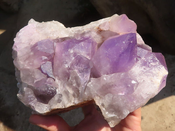 Natural Jacaranda Amethyst Clusters x 2 From Zambia