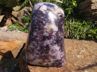 Polished Lepidolite Standing Free Forms x 3 From Zimbabwe - TopRock