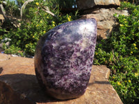 Polished Lepidolite Standing Free Forms x 3 From Zimbabwe - TopRock